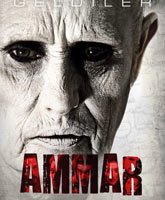 Ammar / :  